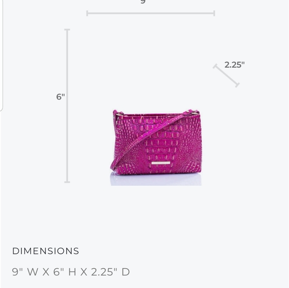 Brahmin Potion Melbourne Lorelei - Picture 15 of 16